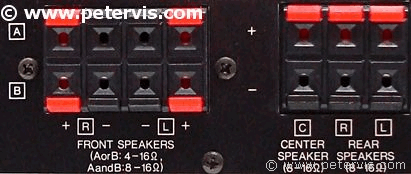 Speaker Terminals