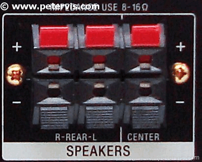 Rear Speaker Outputs