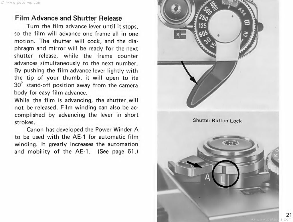 Film Advance and Shutter Release
