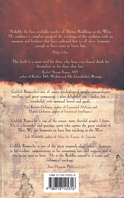 Back Cover Description